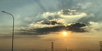 柳城悦旭技术优势